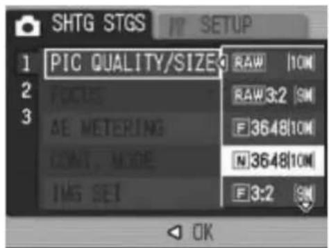 SHTG STGS IT SETUP PIC QUALITY/SIZE RAW 10CM FACES RAW 3:2 SM AE METERING F364810CM CONT. MODE N364810CM IMG SET F3:2 SM OK