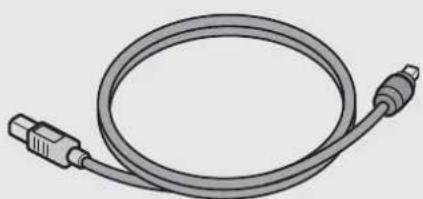RICOH Caplio GX100 VF Kit - USB Cable - 1