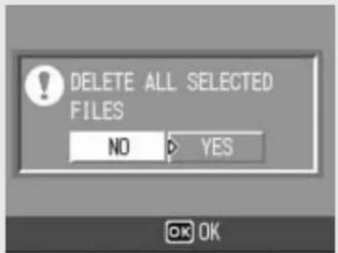 DELETE ALL SELECTED FILES NO YES OK OK