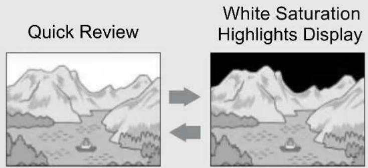 Quick Review White Saturation Highlights Display