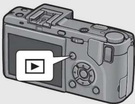 RICOH Caplio GX100 VF Kit - Deleting Multiple Files at One Time - 1