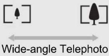Wide-angle Telephoto