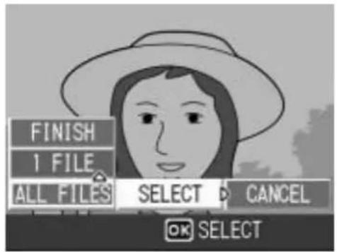 FINISH 1 FILE ALL FILES SELECT D CANCEL OK SELECT