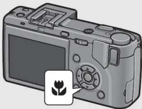 RICOH Caplio GX100 VF Kit - With the camera ready to shoot, press the ⏻ (Macro) button. - 1