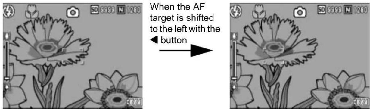 RICOH Caplio GX100 VF Kit - Shifting the AF Target (Macro) - 1