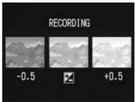 RECORDING -0.5 +0.5