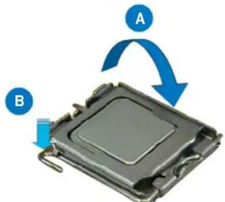 A B