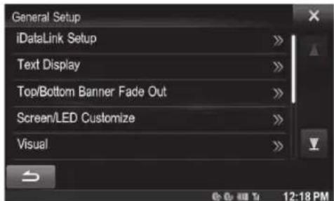 General Setup iDataLink Setup Text Display Top/Bottom Banner Fade Out Screen/LED Customize Visual