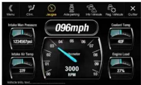 ALPINE X110 - ■ Gauges screen example - 1