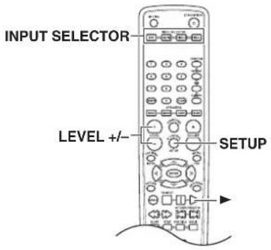 INPUT SELECTOR LEVEL +/- SETUP