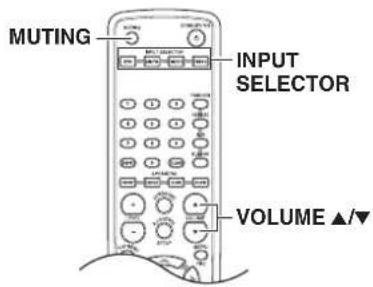 MUTING INPUT SELECTOR VOLUME ▲/▼