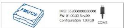 FMU125 IMEI 35200000000000 FW 01.00.00 Rev:00 Configuration 1.00.0.0 COM1
