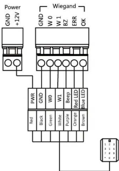 Power +12V Wiegand GND W 0 W 1 BZ ERR OK PWR GND W0 W1 Beep Red LED Blue LED Red Black Green White Purple Orange Brown 1 2 3 3 5 6 7 8 9 + 0 4