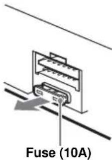 Fuse (10A)
