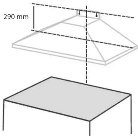 290 mm
