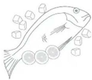 Fisher & Paykel H280X - Fish and seafood - 1