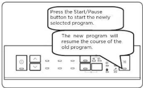 Press the Start/Pause button to start the newly selected program. The new program will resume the course of the old program.