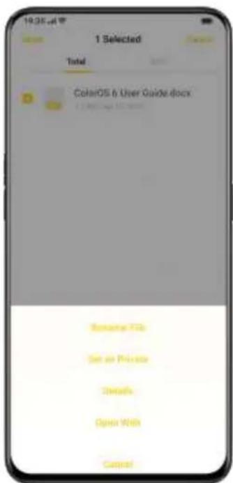 OPPO A12s - Encrypted File - 1