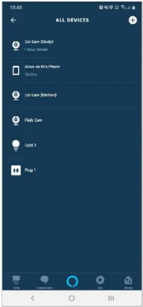 10:45 ALL DEVICES Cat Cam (Study) • New Device Alexa on this Phone Online Cat Cam (Kitchen) Fish Cam light 1 Plug 1