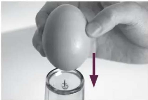 BREVILLE the Eggspert BEG100 - NOTE - 1