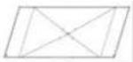 MASPORT Equip - PARTS LIST - 17