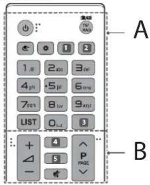 A B