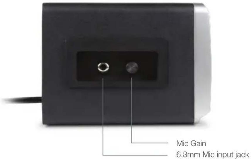Mic Gain 6.3mm Mic input jack