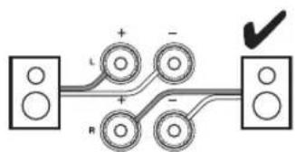 Diagram showing electrical connections between two speaker units with labeled terminals and polarity indicators