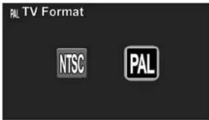 INSIGNIA NS-DV111080F - (down), (left), or - 1