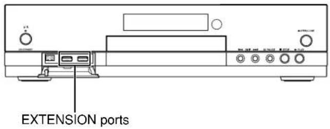 EXTENSION ports