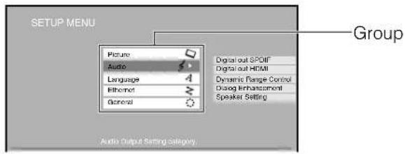 SETUP MENU Picture Audio Language Ethernet General Group Digital out SPOTIF Digital out HDMI Dynamic Range Control Dialog Enhancement Speaker Setting Audio Output Setting category