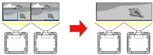 EPSON Pro L30000UNL - ScalinganImage - 1
