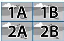 1A 1B 2A 2B