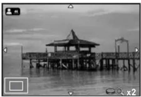 RICOH Q - Focusing with the Image Enlarged - 1