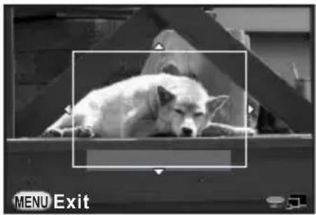 RICOH Q - Selecting the Desired Focusing Area - 1
