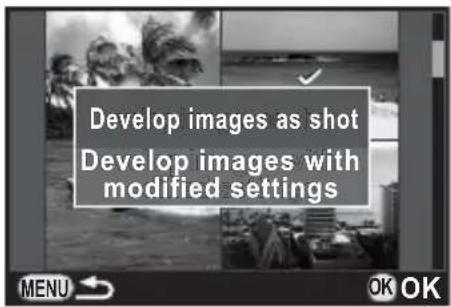 Develop images as shot Develop images with modified settings