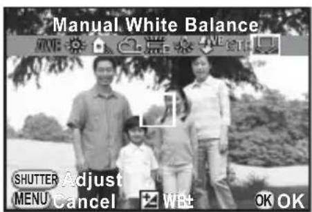 Manual White Balance SHUTTER Adjust MENU Cancel WB+ OK OK