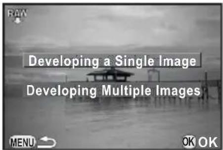 RAW Developing a Single Image Developing Multiple Images MENU OK OK