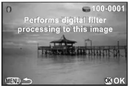 100-0001 Performs digital filter processing to this image MENU OK OK
