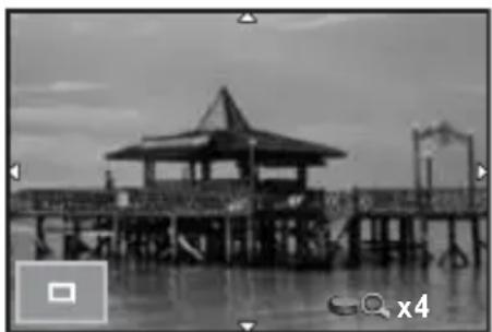 RICOH Q - Setting the Playback Display Method - 3