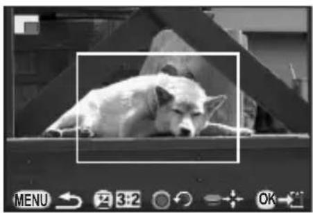 RICOH Q - Cropping Out Part of the Image (Cropping) - 2
