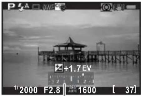 P 5A SAVE +1.7 EV 1/2000 F2.8 39 1600 [ 37 ]
