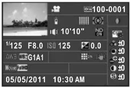 100-0001 10'10" 1/125 F8.0 ISO 125 0.0 G1A1 Movie 2010 05/05/2011 10:30 AM