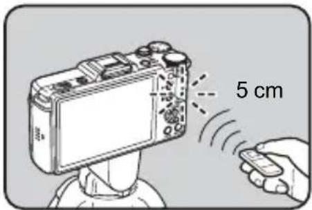 5 cm