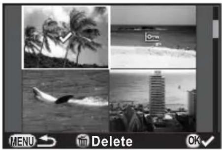 RICOH Q - Select the images to delete. - 1