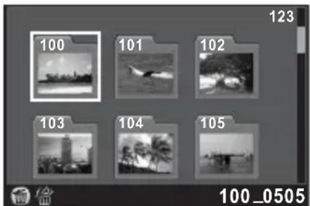 RICOH Q - Deleting a Folder - 1