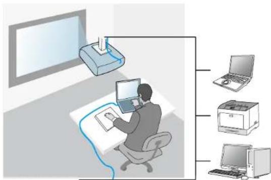 Illustration showing a person using a computer with a monitor, connected to three labeled devices: a printer, a printer, and a printer.