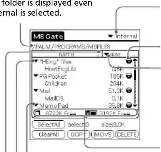 Folder is displayed even Internal is selected. MS Gate /PALM/PROGRAMS/MSFILES name size "HExg" files HostExgLib 0.5K PG Pocket 165K Children 204K Mail 51.2K MailDB 0.1K Memo Pad 35.8K R722K Free R192K Free SelectAll select0 size:0.0K ClearAll COPY MOVE DELETE