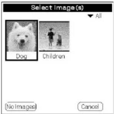 Select Image(s) All Dog Children (No Images) Cancel