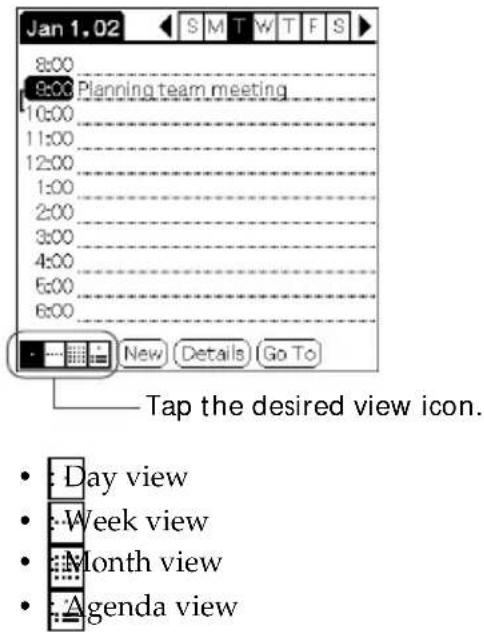 Jan 1.02 8:00 9:00 Planning team meeting 10:00 11:00 12:00 1:00 2:00 3:00 4:00 5:00 6:00 New Details Go To Tap the desired view icon. Day view Week view Month view Agenda view